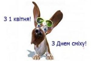 images (3) (5)